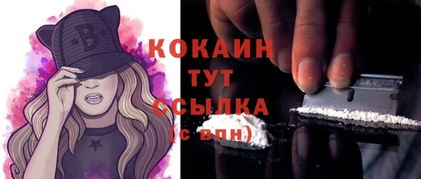 apvp Тайга