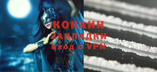 apvp Тайга