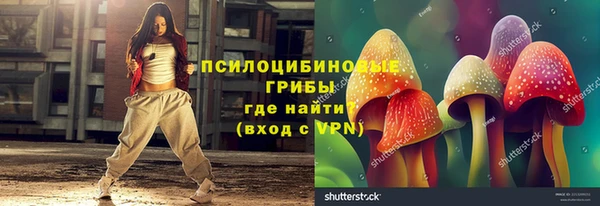 mix Вяземский